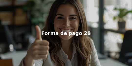 forma de pago 28